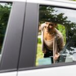 Gold Coast to Byron Bay scenic One Way Transfer - Possible Drawbacks or Considerations