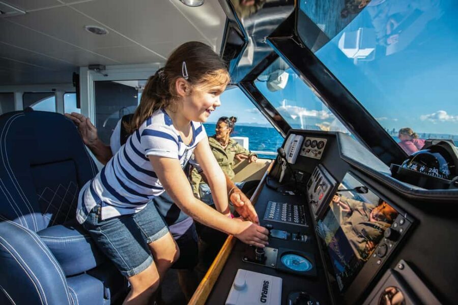 Gold Coast: Whale Watching Cruise & Sea World Entry - The Whale Watching Experience
