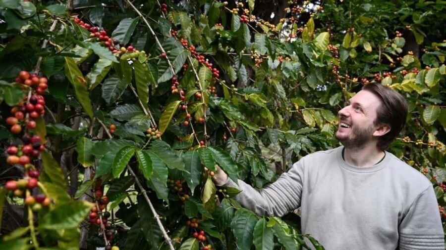 Gold Coast: Wine, Distillery & Rainforest Day Tour - The Experience in Context: Why It Matters