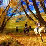 Gold Discovery Trail Horse Trek Cardrona - Most popular! - Who Should Consider This Tour?