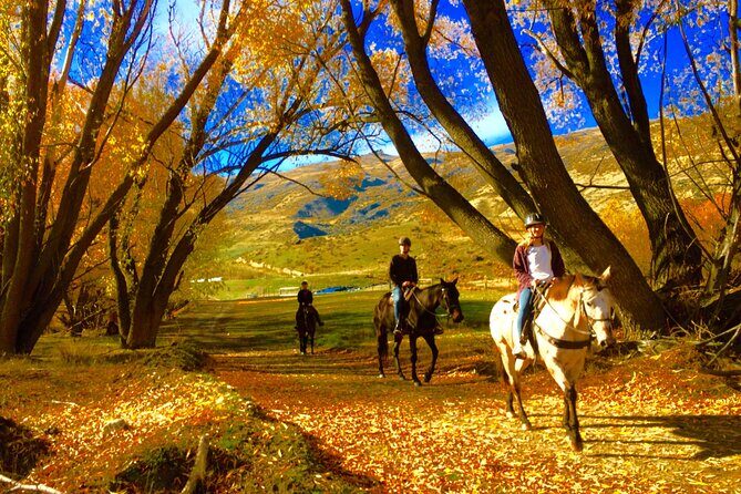 Gold Discovery Trail Horse Trek Cardrona - Most popular! - Who Should Consider This Tour?