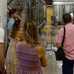 GOLD EXPERIENCE - Winery tour & tasting at Villa Corniole - The Experience in Context: Why It Matters for Travelers
