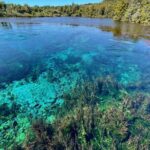 Golden Bay in a Day - Final Thoughts: The Real Value of Golden Bay in a Day