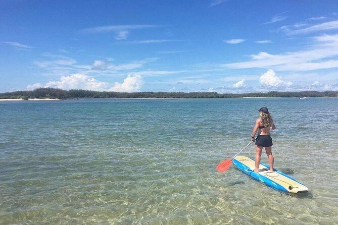 Golden Beach 1-Hour Stand-Up Paddleboard Hire on the Sunshine Coast - What Do the Reviews Say?