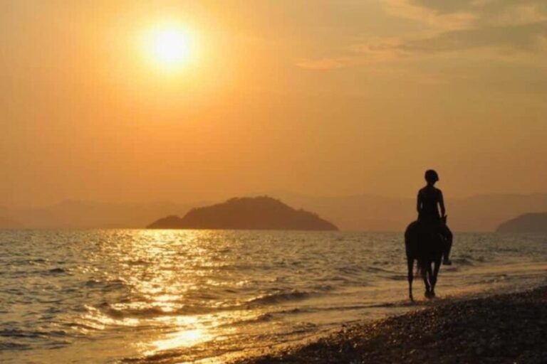 Golden Beach Sunrise: Horse Riding - The Magic of Riding Along the Sea