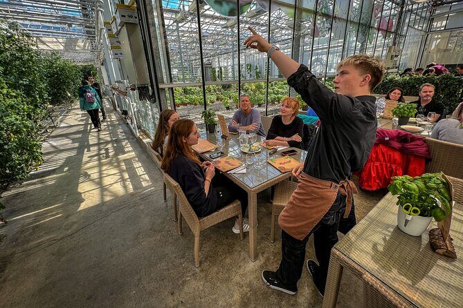 Golden Circle and Lunch at Fridheimar Tomato Farm - with photos - Frequently Asked Questions