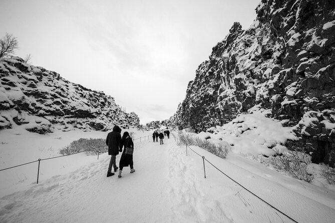 Golden Circle, Northern Lights and Blue Lagoon Tour with Ticket - The Sum Up