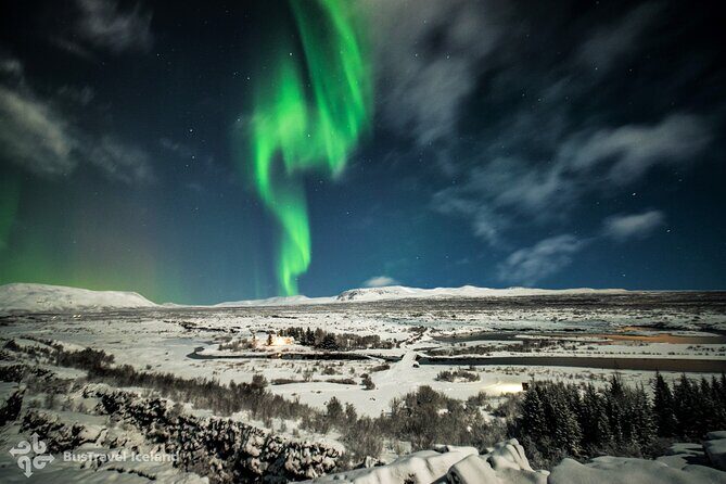 Golden Circle, Secret Lagoon and Northern Lights Tour - What the Reviews Say