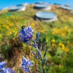 Golden Gate Park Tour With California Academy of Sciences - Who Will Love This Tour?