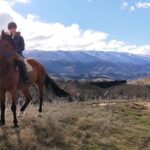 Golden Hills Horse Trek in Central Otago - A Detailed Look at the Itinerary and Experience