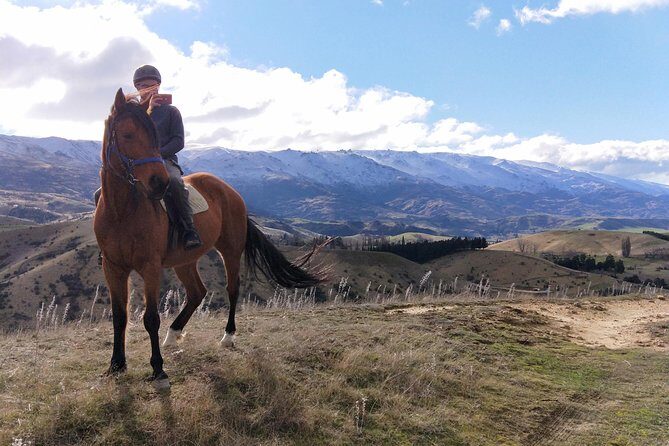 Golden Hills Horse Trek in Central Otago - A Detailed Look at the Itinerary and Experience