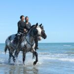 Golden Hour Gallop: Evening Ride in Paros - A Detailed Look at the Golden Hour Gallop Experience