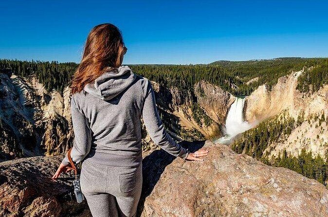 Golden Yellowstone Portraits - Blacktail Pond: Serenity and Wildlife