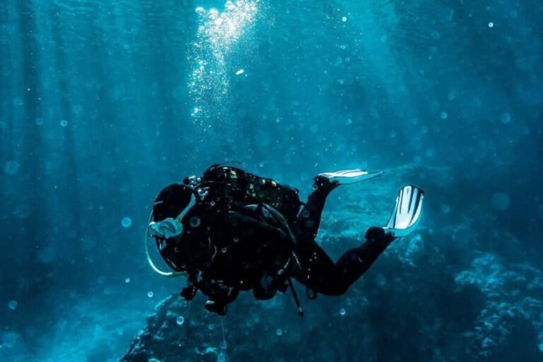 Golem/Durres: Ionian Sea Scuba Diving Experience - Who This Tour Is Best For