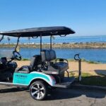 Golf Cart Rentals LSV in Carlsbad - The Sum Up: Is It Worth It?