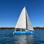 Golfe-Juan: Discover the Art of Sailing on a Scenic Cruise - Why This Tour Stands Out