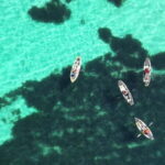 Golfo Aranci: Dolphin Watching Kayaking Tour with Aperitif - The Experience in Context