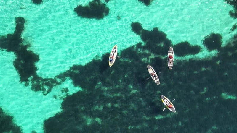 Golfo Aranci: Dolphin Watching Kayaking Tour with Aperitif - The Experience in Context