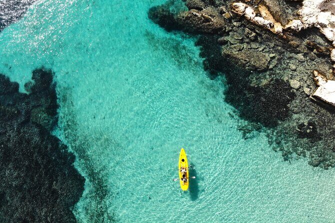 Golfo Aranci: Kayak tour with aperitif&dolphin sighting (max 9 Pax) - Key Points