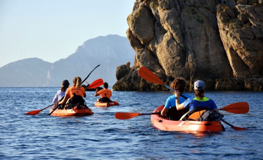 Golfo Aranci: Kayak Tour with Dolphins and Aperitif - Authentic Marine Encounters and Scenic Beauty