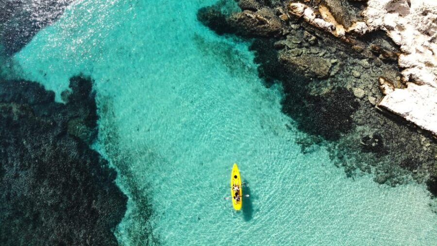 Golfo Aranci: Small group Kayak tour with Aperitif &dolphins - An In-Depth Look at the Golfo Aranci Kayak Tour