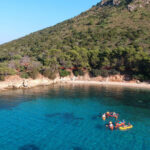 Golfo Aranci: Sunrise Dolphin Kayak Tour with Breakfast - The Itinerary in Detail