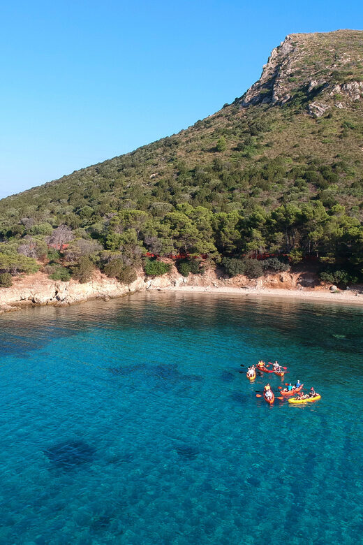 Golfo Aranci: Sunrise Dolphin Kayak Tour with Breakfast - The Itinerary in Detail