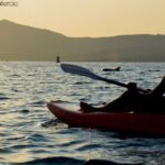 Golfo Aranci: Sunset Dolphin Kayak Tour with Aperitif - In-Depth Look at the Golfo Aranci Sunset Dolphin Kayak Tour