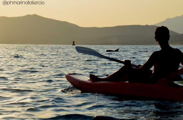 Golfo Aranci: Sunset Dolphin Kayak Tour with Aperitif - In-Depth Look at the Golfo Aranci Sunset Dolphin Kayak Tour