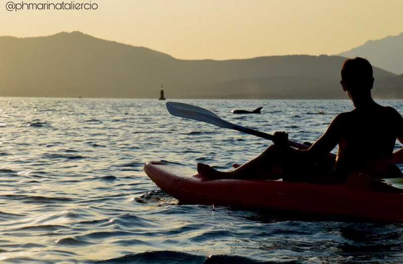 Golfo Aranci: Sunset Dolphin Kayak Tour with Aperitif - In-Depth Look at the Golfo Aranci Sunset Dolphin Kayak Tour