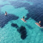 Golfo Aranci tour SUP Paddleboard Dolphin watching, aperitif - The Practical Side: What to Expect and Considerations
