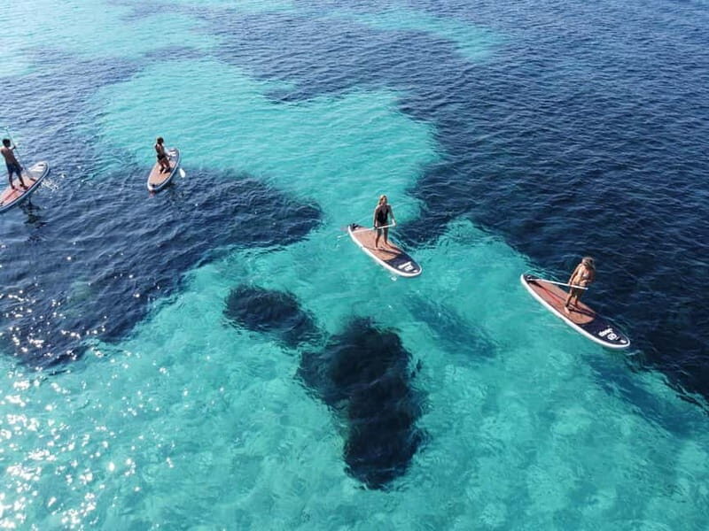 Golfo Aranci tour SUP Paddleboard Dolphin watching, aperitif - The Practical Side: What to Expect and Considerations