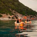 Golfo Aranci: traditional or transparent kayaks, dolphins, and aperitif - Who Will Love This Tour?
