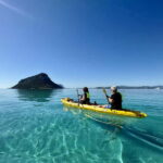 Golfo Aranci:Small group, german guided Kayak tour&Dolphins - An In-Depth Look at the Golfo Aranci Kayak Tour