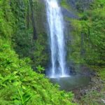 Gonio and Adjarian Highland Tour - Who Should Consider This Tour?