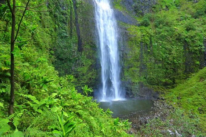 Gonio and Adjarian Highland Tour - Who Should Consider This Tour?