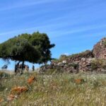 Gonnesa: Nuraghe Seruci Sunset Visit with Aperitif - Who Should Consider This Tour?
