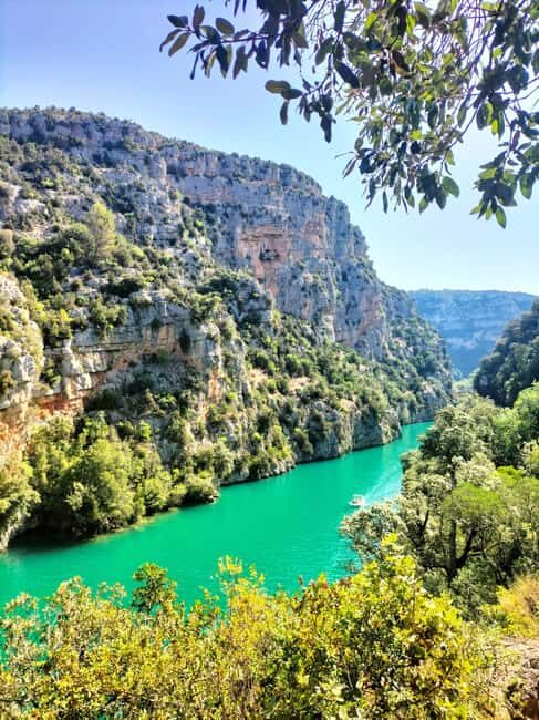 Gorges du Verdon: lavenders, canyon boat picnic & villages - Lavender Fields and Village Charm