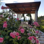 Gorika Brda: Wine Tasting with Local Snacks - Final Thoughts: Is This Tour Right for You?