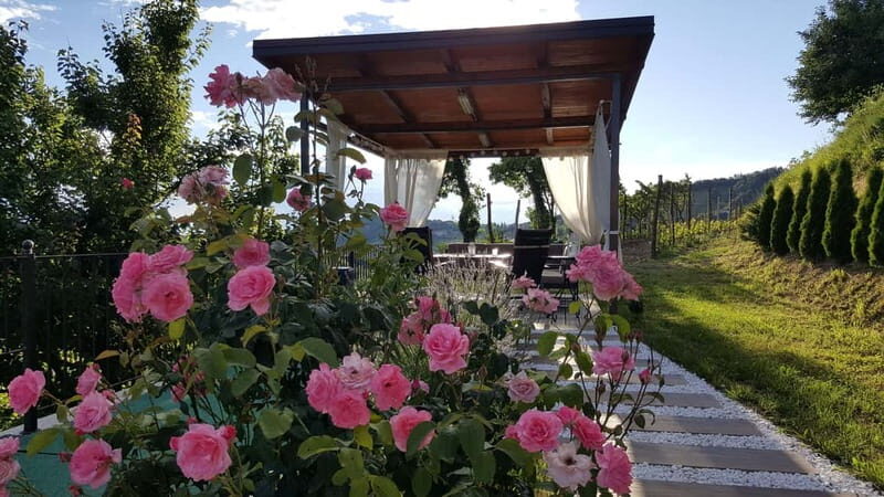 Gorika Brda: Wine Tasting with Local Snacks - Final Thoughts: Is This Tour Right for You?