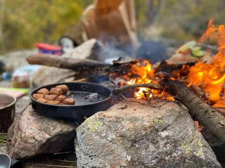 Gothenburg: The Local Experience - Home Visit, Food & Forest - An Authentic Glimpse of Swedish Life in Gothenburg