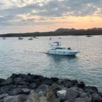 Gourmet cruise at sunset with whale watching - An In-Depth Look at the Sunset Yacht Experience in Tenerife