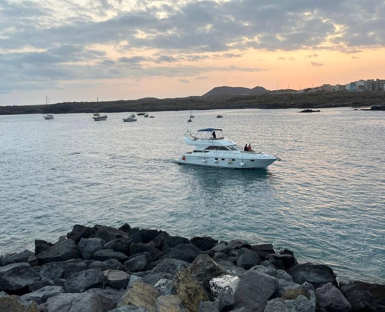 Gourmet cruise at sunset with whale watching - An In-Depth Look at the Sunset Yacht Experience in Tenerife
