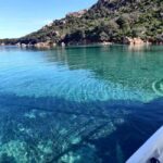 Gourmet Tour - An In-Depth Look at the Gourmet Tour Experience
