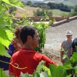 Gourmet Wine Tour - Exploring the Montalcino Gourmet Wine Tour in Detail