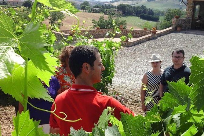 Gourmet Wine Tour - Exploring the Montalcino Gourmet Wine Tour in Detail