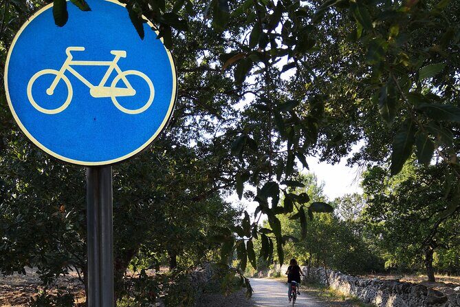 GPS tour with E-Bike on cycleroute of acqueduct Pugliese with wine tasting directly in vineyards - Who Will Love This Tour?