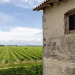 Grado: Journey into Ceramics with Tour & Wine Tasting - An In-Depth Look: What to Expect on the Tour