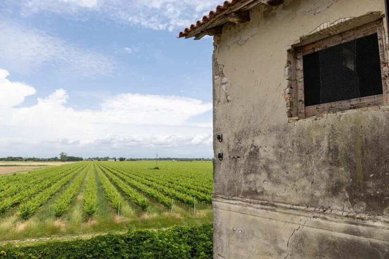 Grado: Journey into Ceramics with Tour & Wine Tasting - An In-Depth Look: What to Expect on the Tour