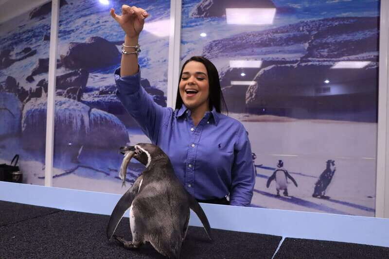Gran Acuario Mazatlan - A Full Breakdown of Your Visit to Gran Acuario Mazatlan